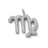 304 Stainless Steel Micro Pave Cubic Zirconia Charms STAS-Z107-09P-10-1