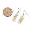 Natural Mixed Stone Dangle Earrings EJEW-JE06154-01-3