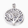 Natural Lapis Lazuli European Dangle Charms PALLOY-JF00353-05-2