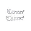 Non-Tarnish 304 Stainless Steel Connector Charms STAS-N095-136F-1