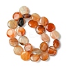 Flat Round Gemstone Natural Red Agate Stone Beads Strands X-G-S110-03-4