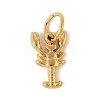 304 Stainless Steel Charms LS-STAS-V013-02A-G-1
