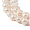 Natural Cultured Freshwater Pearl Beads Strands PEAR-P064-19K-04B-4