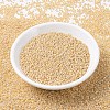 MIYUKI Round Rocailles Beads SEED-X0054-RR0529-2