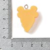 Resin Imitation Food Pendants LS-FIND-U001-02E-3