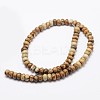 Natural Picture Jasper Beads Strands G-D840-04-2