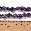 Natural Amethyst Beads Strands G-P497-01E-45-5