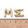 304 Stainless Steel Pendants STAS-M111-22G-M-3
