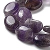 Natural Amethyst Beads Strands G-P528-M16-01-4
