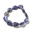 Natural Blue Spot Jasper Beads Strands G-P528-L17-01-3