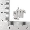 304 Stainless Steel Micro Pave Cubic Zirconia Charms STAS-Z107-09P-10-3