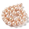 Natural Cultured Freshwater Pearl Beads Strands PEAR-E019-17-2