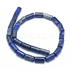 Natural Lapis Lazuli Beads Strands G-F631-F06-2