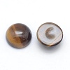 Natural Tiger Eye Cabochons G-E492-H-13-2
