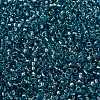MIYUKI Round Rocailles Beads SEED-X0055-RR1824-2