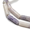 Natural Purple Turquoise Beads Strands G-D464-48-4