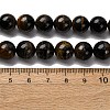 Dyed Natural Blue Tiger Iron Beads Strands G-G286-A02-10mm-5