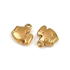 304 Stainless Steel Charms LS-STAS-G357-06G-01-2