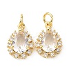 Brass Cubic Zirconia Charms ZIRC-C022-10G-1