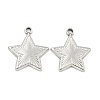 Non-Tarnish 304 Stainless Steel Pendants STAS-P365-09P-1