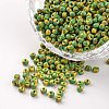 8/0 Opaque Colours Seep Glass Beads SEED-M007-01-1