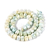 Anti-Tarnish Electroplate Glass Beads Strands GLAA-T025-10mm-11P-3