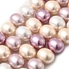 Shell Pearl Beads Strands BSHE-F013-01P-1