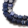 Natural Lapis Lazuli Beads Strands G-G085-B02-02-3