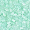 600Pcs Glass Seed Beads SEED-PA0001-17C-7