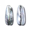 Natural Black Lip Shell Pendants SHEL-N026-160C-2
