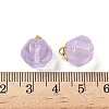 Glass Charms GLAA-P072-04G-05-3