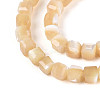 Natural Trochid Shell/Trochus Shell Beads Strands SSHEL-N041-04B-02-3