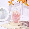 Glass Dome Cover ODIS-WH0010-41B-5