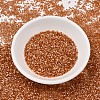 MIYUKI Delica Beads X-SEED-J020-DB1804-2