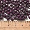 Picasso Baking Paint Glass Seed Beads SEED-A032-02A-17-4