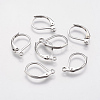 Tarnish Resistant 304 Stainless Steel Leverback Earring Findings LS-STAS-F141-03P-1