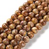Dyed Natural Regalite/Imperial Jasper/Sea Sediment Jasper Beads Strands G-B124-C01-02-1