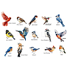 Translucent PVC Self Adhesive Wall Stickers STIC-WH0015-301-1