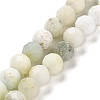 Natural Green Opal Beads Strands G-Z035-A02-04A-1