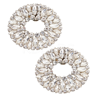 Alloy Crystal Rhinestone Shoe Decoration DIY-FG0003-73-1