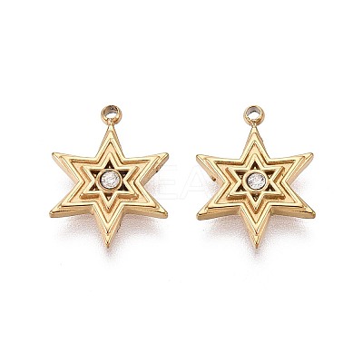 304 Stainless Steel Micro Pave Cubic Zirconia Charms STAS-N115-53G-1
