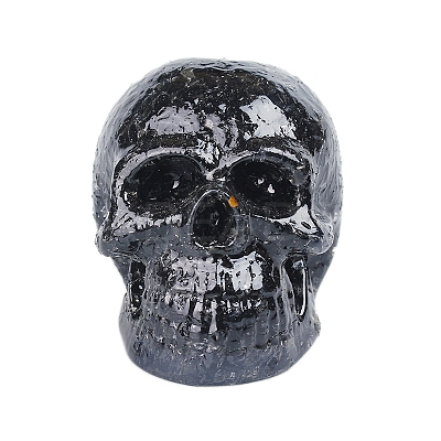 Resin Skull Display Decoration PW-WG35334-05-1