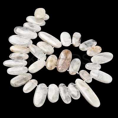 Natural Moonstone Beads Strands G-M408-D03-1