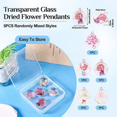 5Pcs Transparent Glass Pendants GLAA-TA0002-83-1