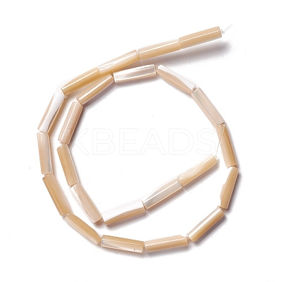 Natural Trochid Shell/Trochus Shell Beads SSHEL-O001-26A-1