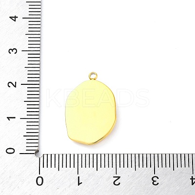 304 Stainless Steel Pendants STAS-S163-06A-G-1