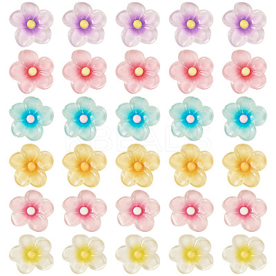 30Pcs 6 Colors Transparent Resin Cabochons RESI-TA0004-45-1