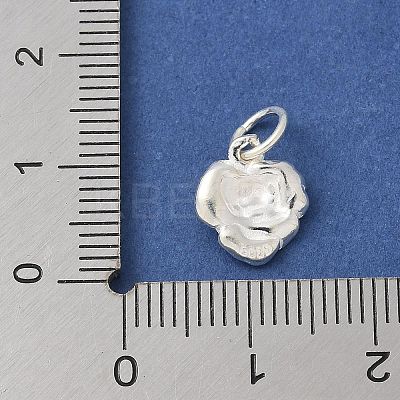S925 Sterling Silver Pendant STER-H115-08C-S-1