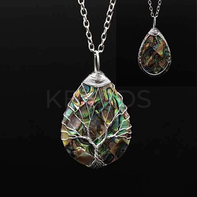 Double Sided Natural Paua Shell Copper Wire Wrapped Tree of Life Teardrop Pendant Necklaces FS-WG9357B-03-1
