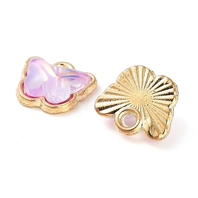 Rack Plating Alloy Glass Charms FIND-Q099-07G-01-1